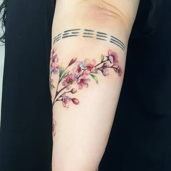 Flower, 매화, 목련, 벚꽃, 사쿠라