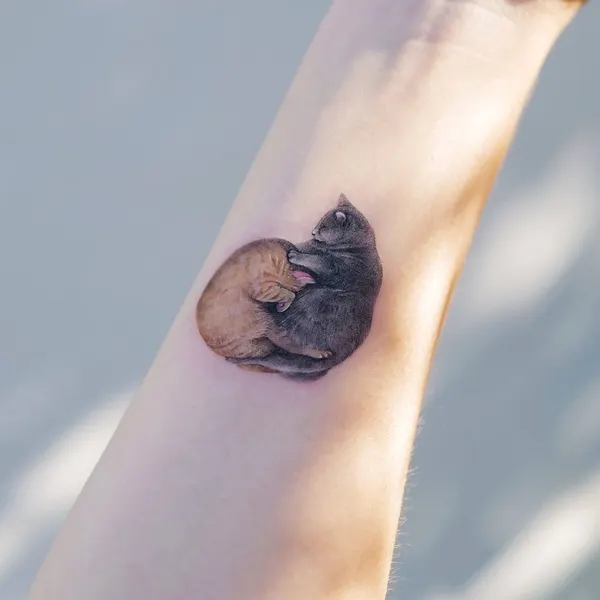 쥐, 펭귄, 다람쥐, 코알라, 고슴도치, 나무늘보, 조개껍데기, 버섯, Animal