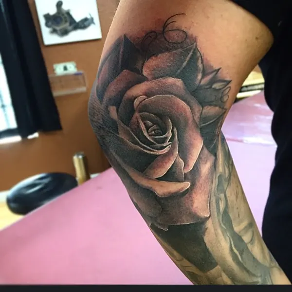 Flower, Rose