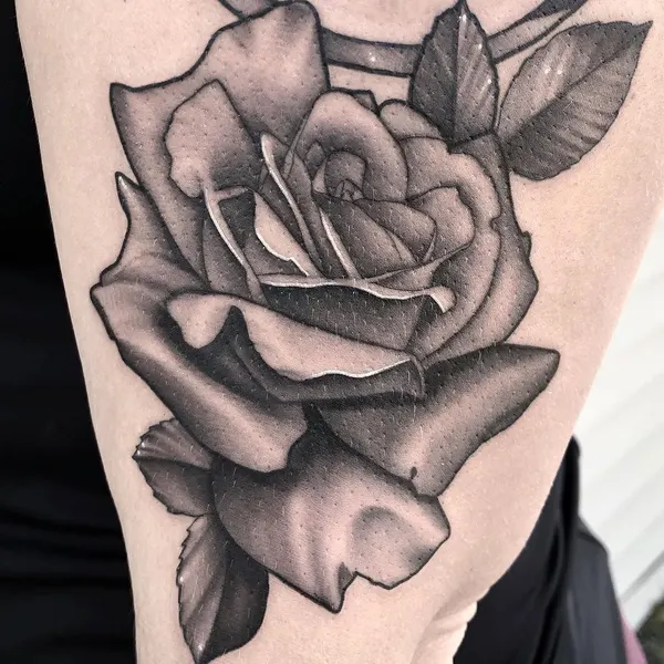Flower, Rose