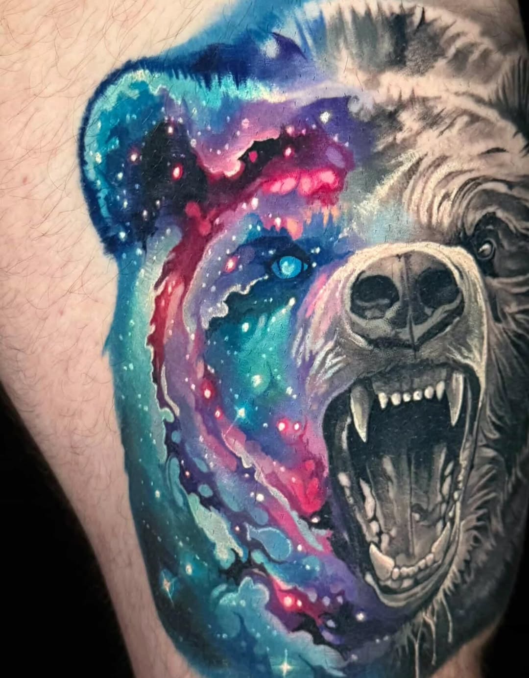Animal, 곰
