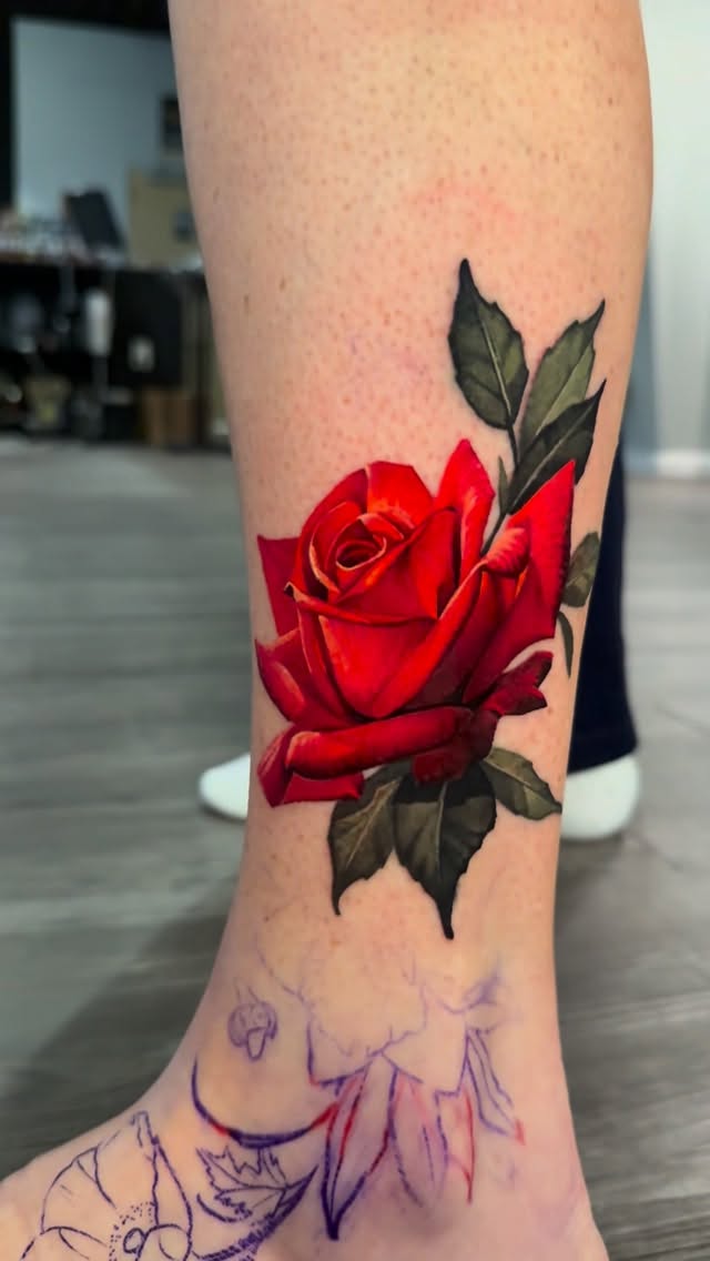 Flower, Rose