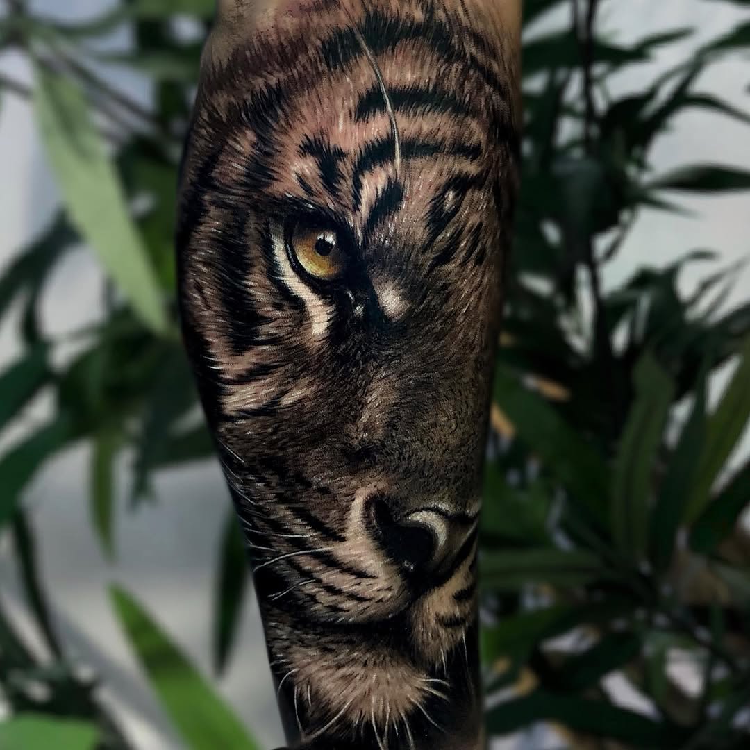 Tiger, 중국 호랑이, 일본 호랑이