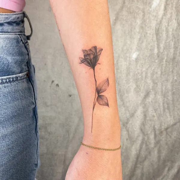 Flower, Rose, 야생화, 나뭇가지