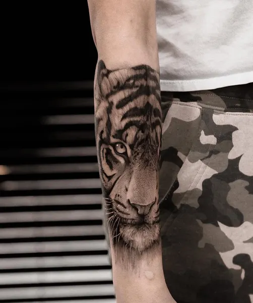 Tiger, 치타, 사자자리, 일본 호랑이, 중국 호랑이, 한국 호랑이