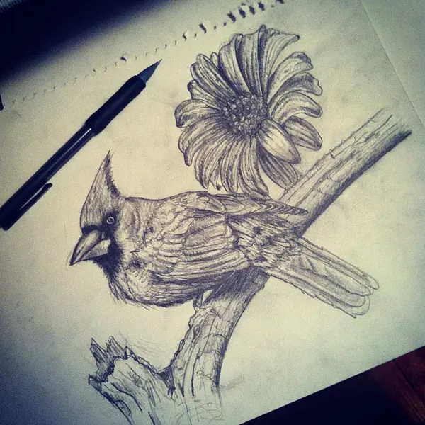 Flower, Animal, Nature