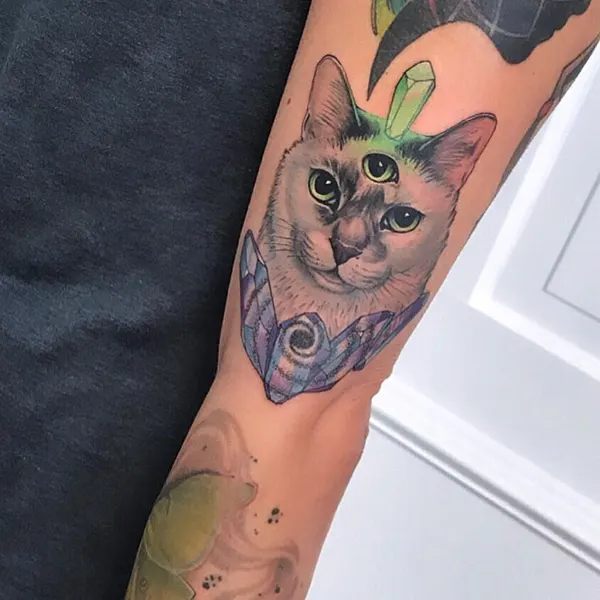 Animal