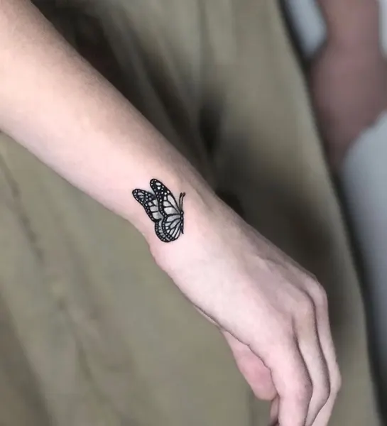 Nature, Animal