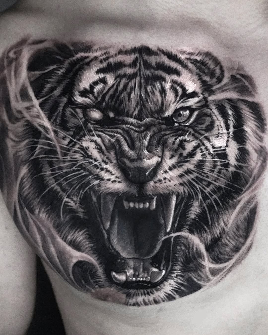 Tiger, 일본 호랑이, 중국 호랑이, 한국 호랑이, 재규어