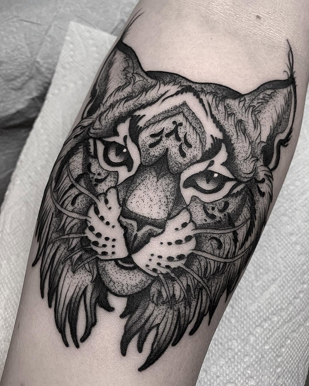 Tiger, 표범