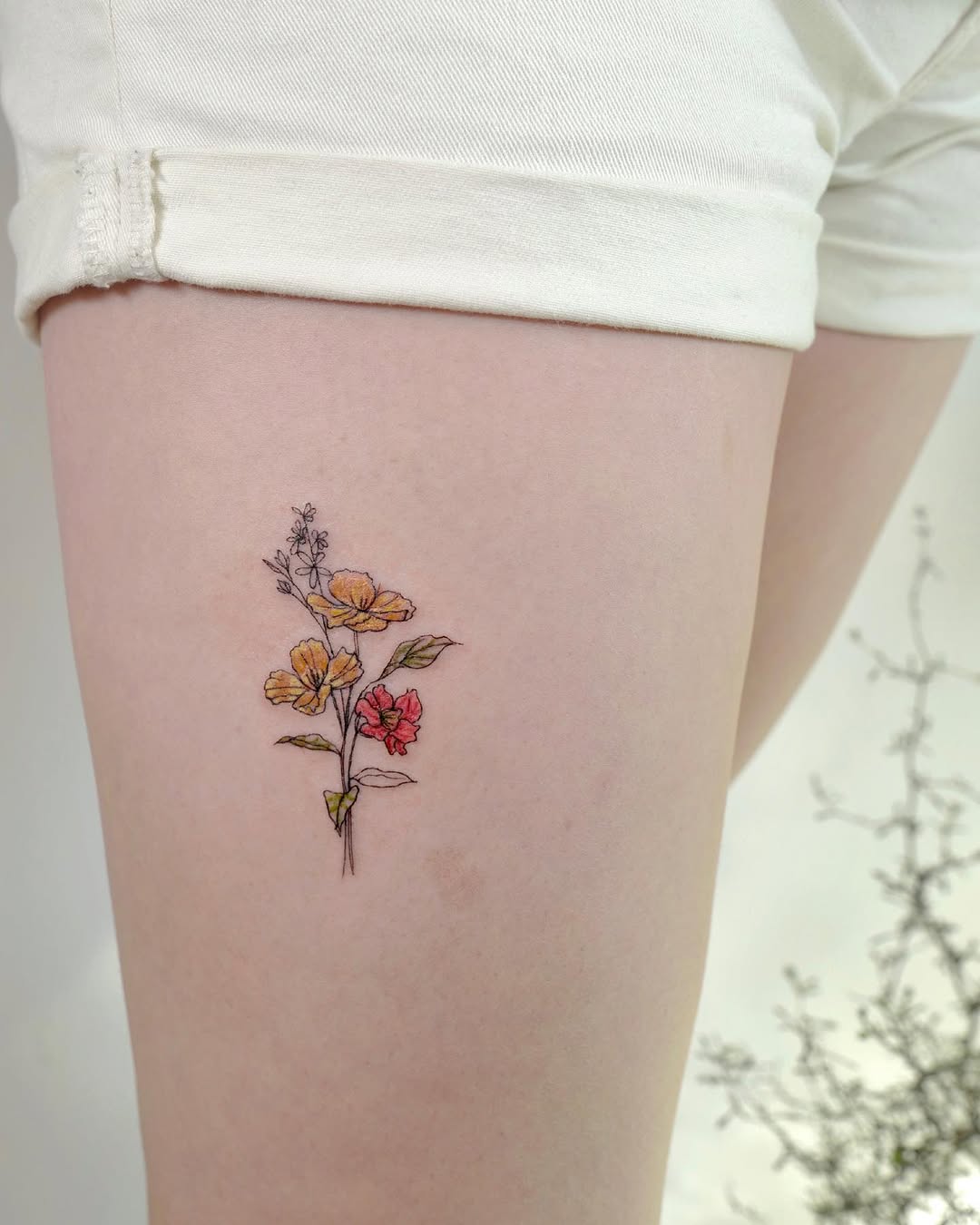 Rose, Flower
