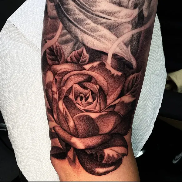 Flower, Rose
