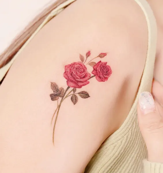 Flower, Rose, 양귀비