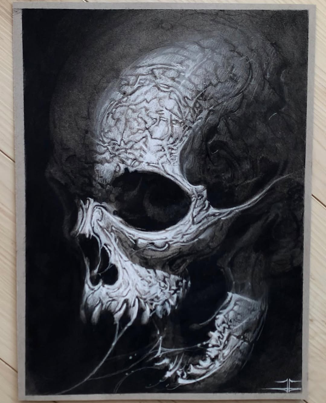 jesselevitt