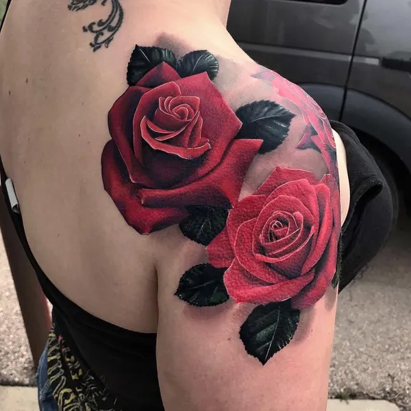 Flower, Rose, Nature