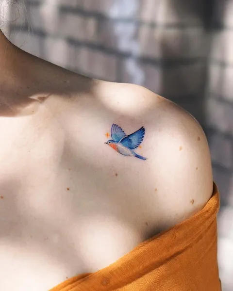 제비, 비둘기