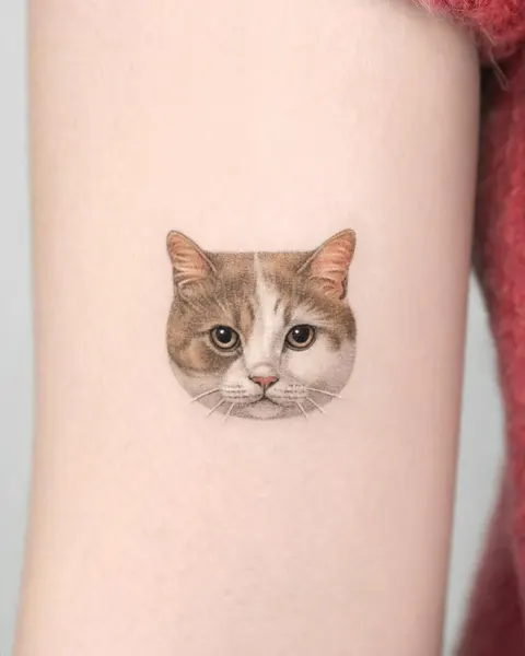 고양이