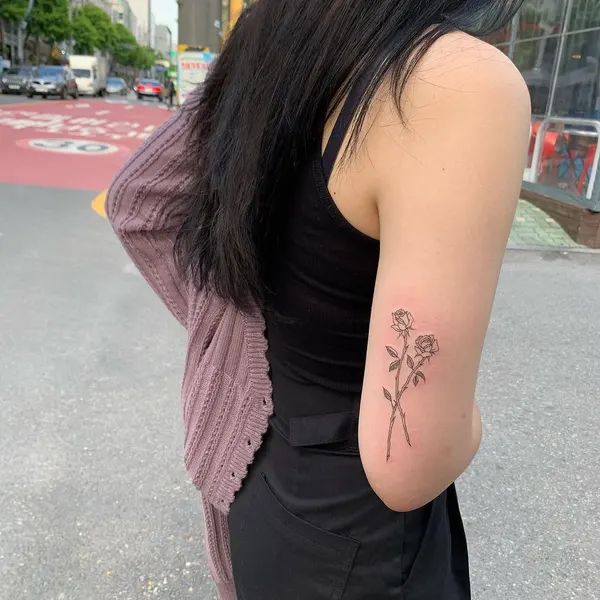 Flower, Rose, Nature