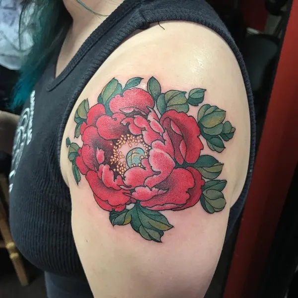 Flower, Rose, Nature
