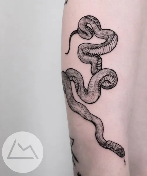 Snake