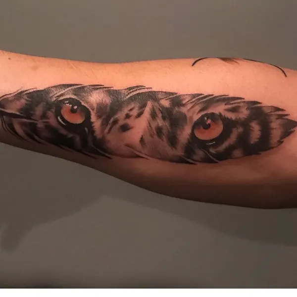 Tiger, 부엉이