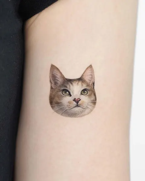 고양이