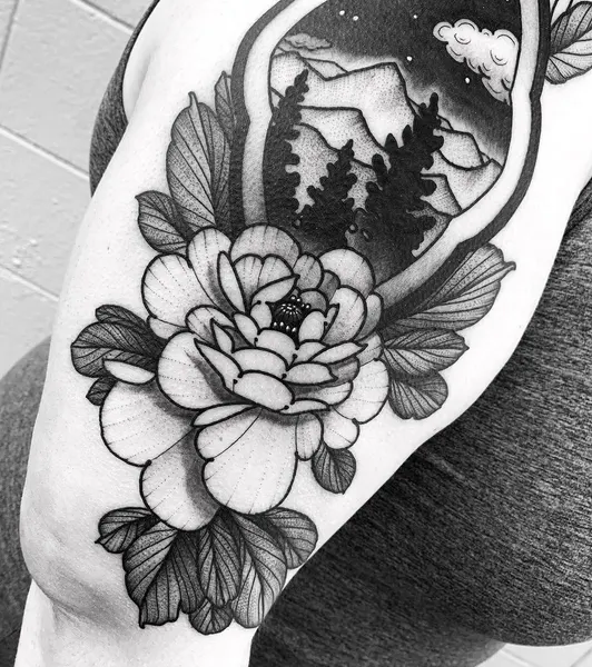 Flower, Rose, Nature