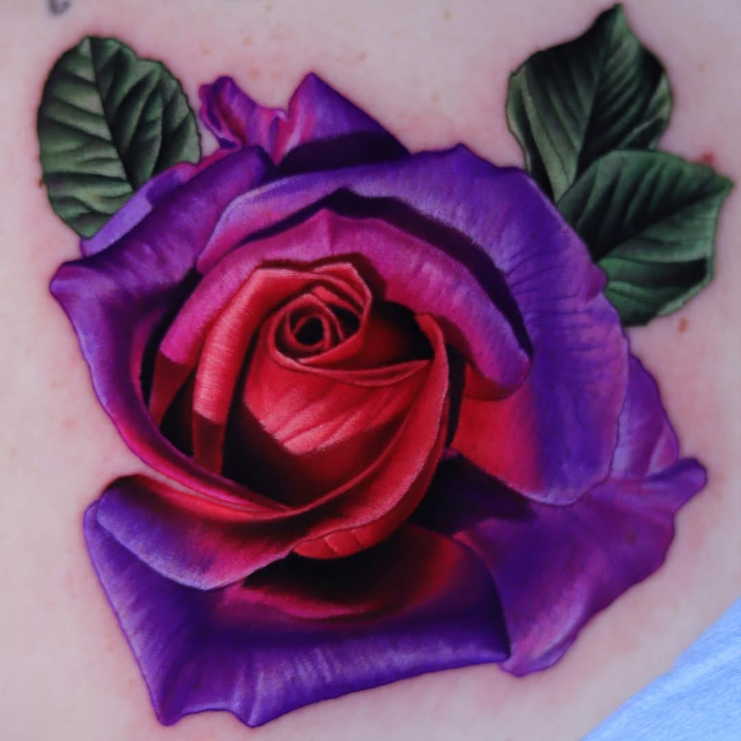 Flower, Rose, Nature