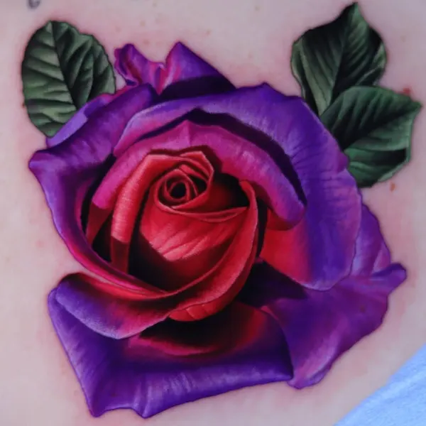 Flower, Rose, Nature