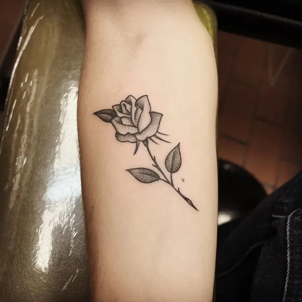 Flower, Rose