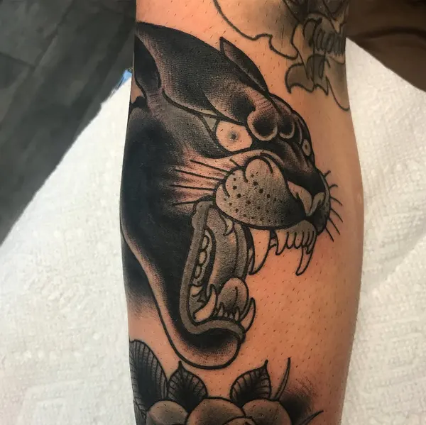 Tiger, Animal