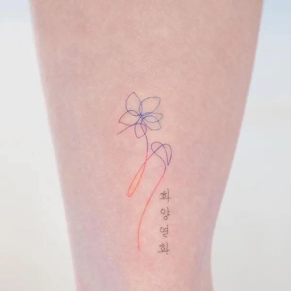 리본, 아이리스