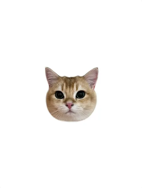 텐구, 함사, 고양이, 마네키네코, 여우 가면