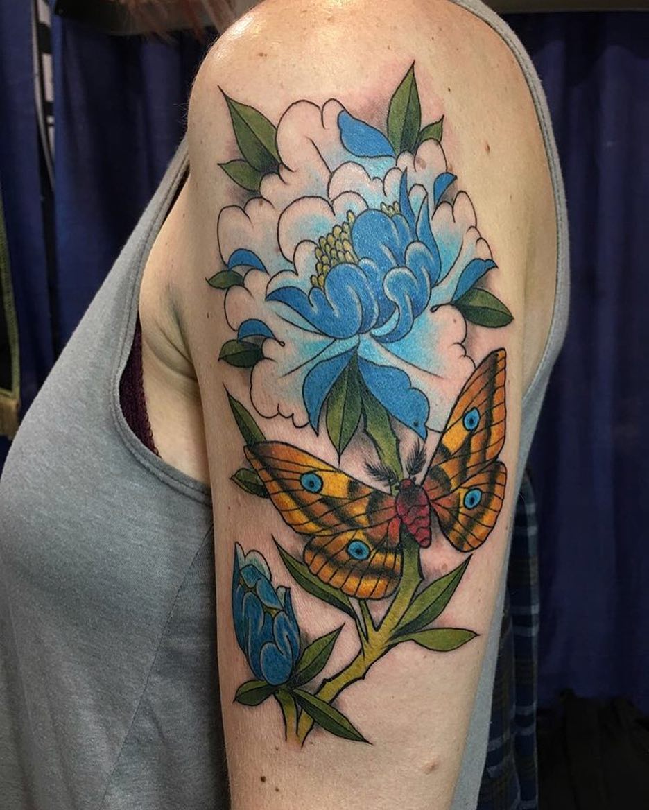 Flower, Rose, Animal, Nature