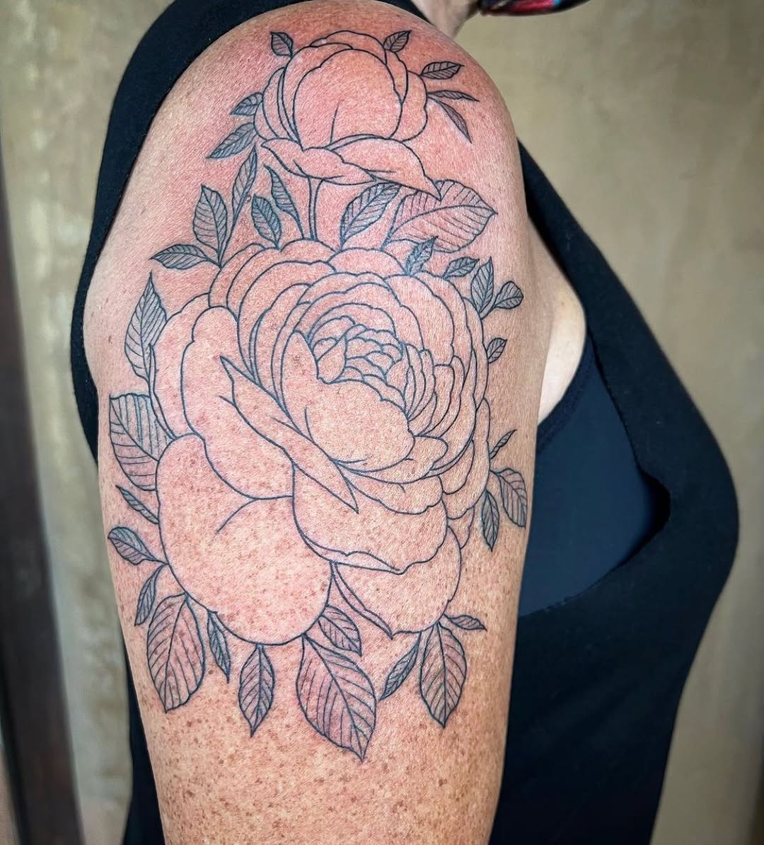 Flower, Rose, Nature