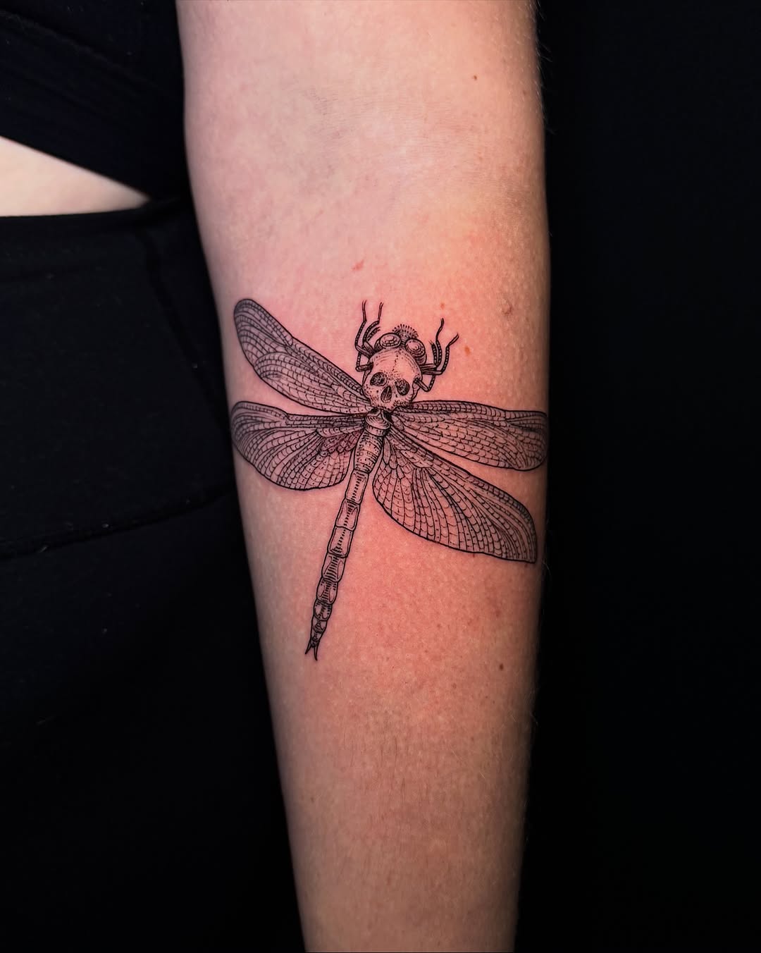 Nature, Animal, 리본, 잠자리, 매미