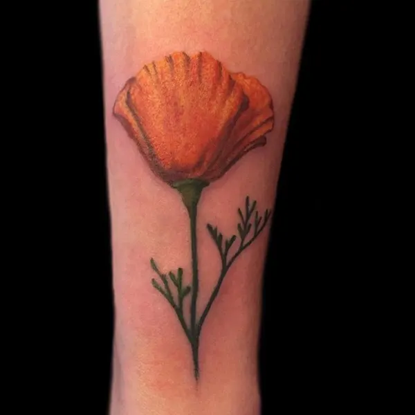 Flower, 튤립, 양귀비