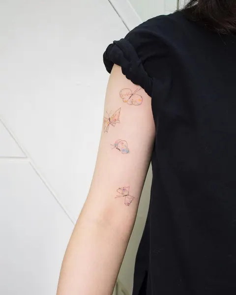Animal, Nature, 나비