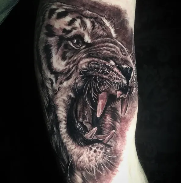 Tiger