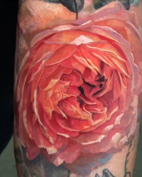 Flower, Rose