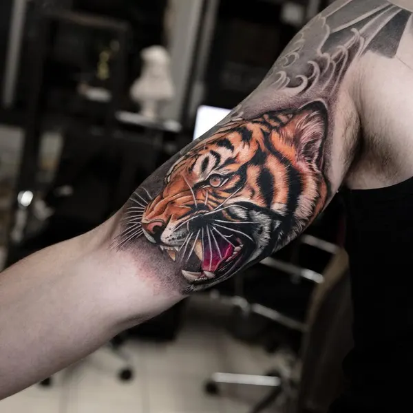 Tiger, 일본 호랑이, 한국 호랑이, 중국 호랑이