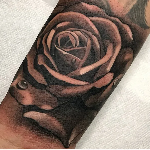 Flower, Rose