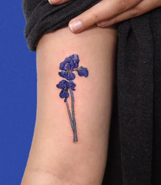 Flower, 아이리스, 난초