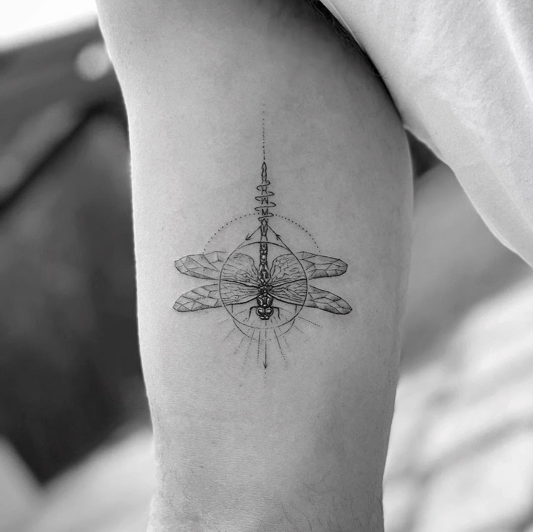 Animal, Nature, 잠자리, 비행기