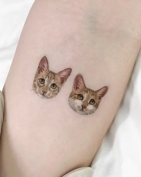고양이