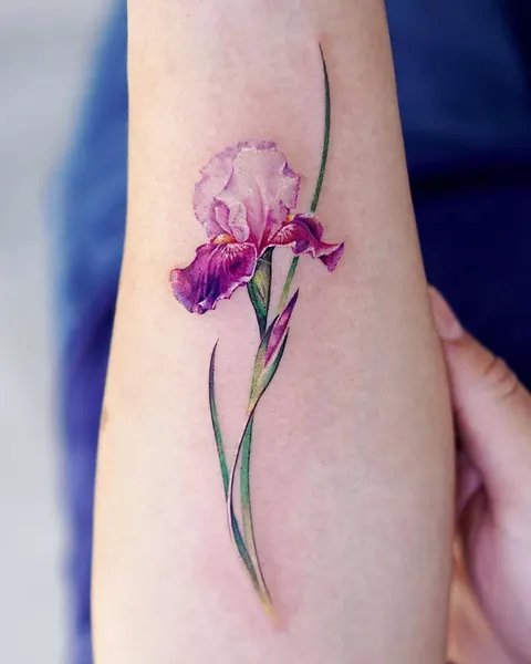 Flower, 아이리스, 백합, 난초, 튤립