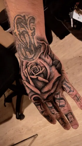 Flower, Rose