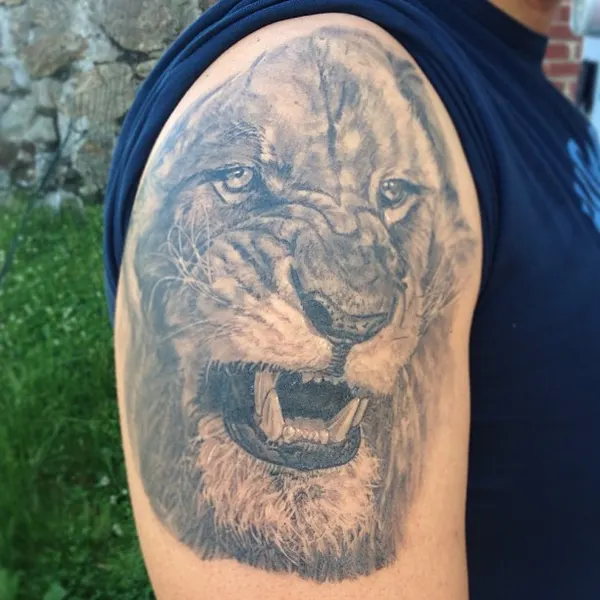 Tiger