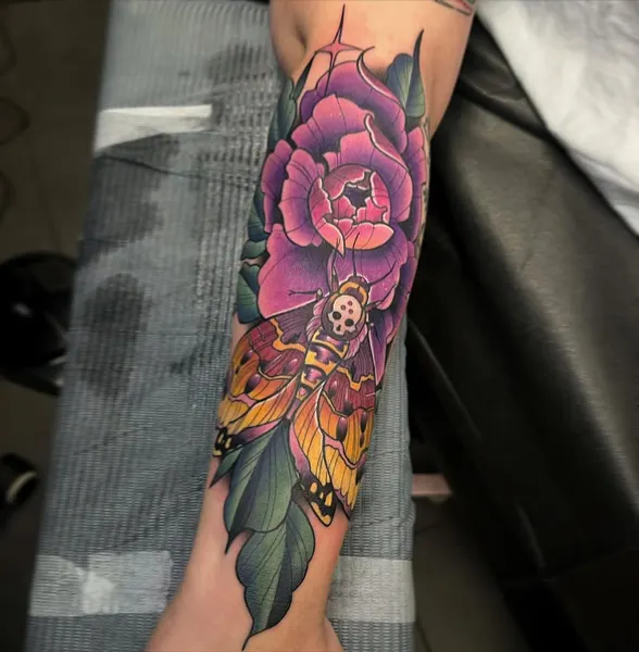 Flower, Rose, Animal, Nature