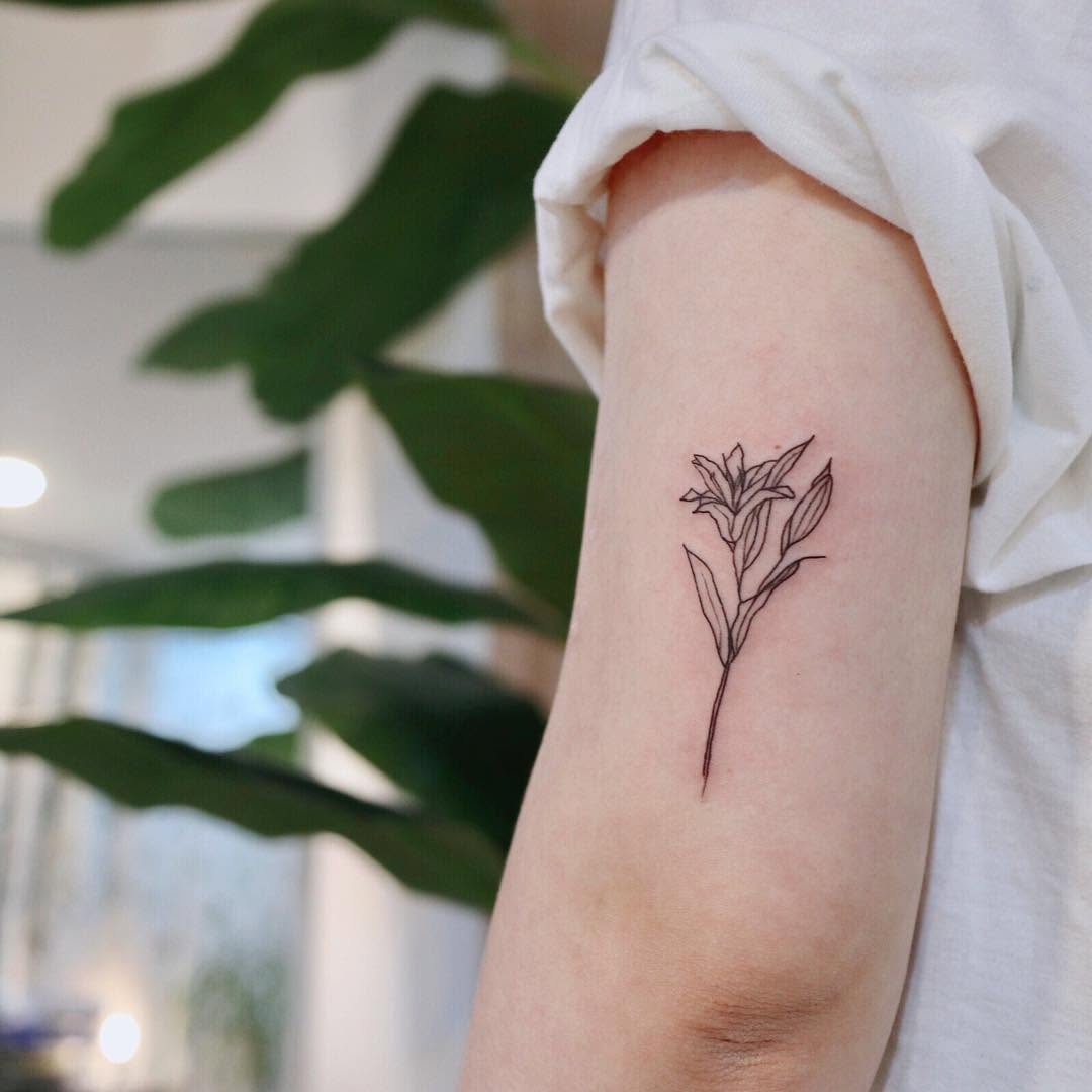 Flower, Rose